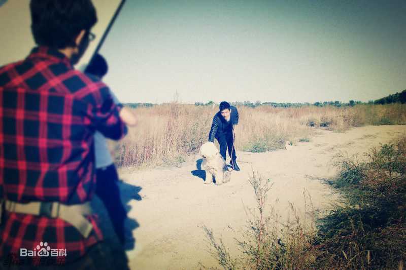 张峻宁精彩图册