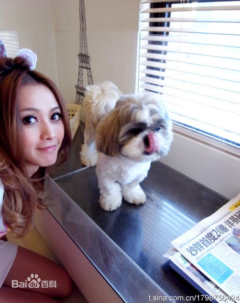 冯媛甄(Abby Amigo)微博照片图片图集