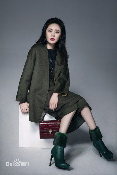 秋瓷炫(Choo Ja Hyun)艺术照图片图册