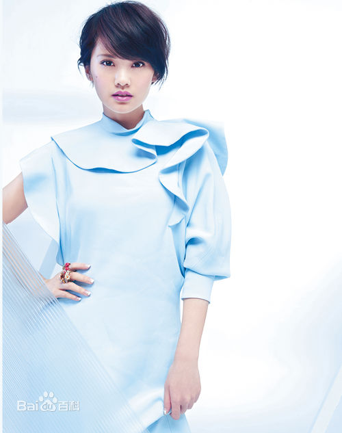 杨丞琳(Rainie Yang)前后照片