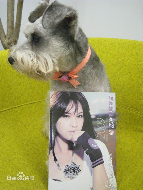 杨丞琳(Rainie Yang)和YUMI图册