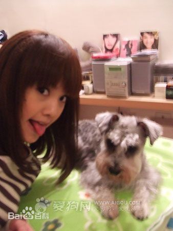 杨丞琳(Rainie Yang)和YUMI图册