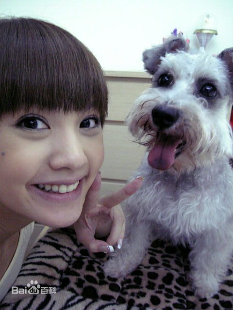 杨丞琳(Rainie Yang)和YUMI图册