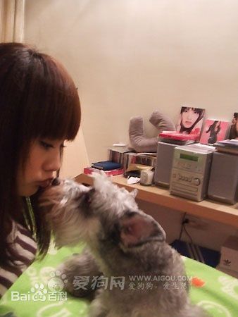 杨丞琳(Rainie Yang)和YUMI图册