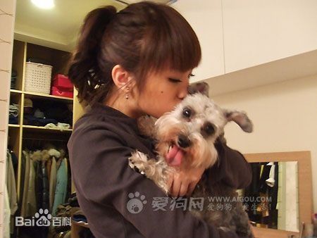 杨丞琳(Rainie Yang)和YUMI图册