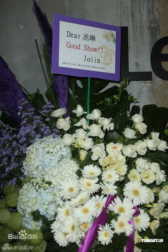 最优质杨丞琳(Rainie Yang)精彩图册