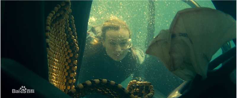 最全不明身份(Unknown)精彩图册