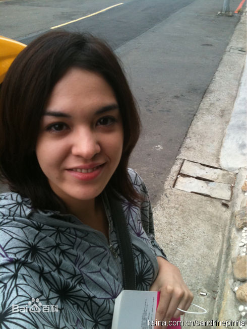 最全张榕容(Sandrine Pinna)精彩图册