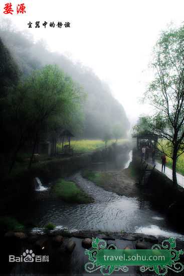 最优质张榕容(Sandrine Pinna)精彩图册