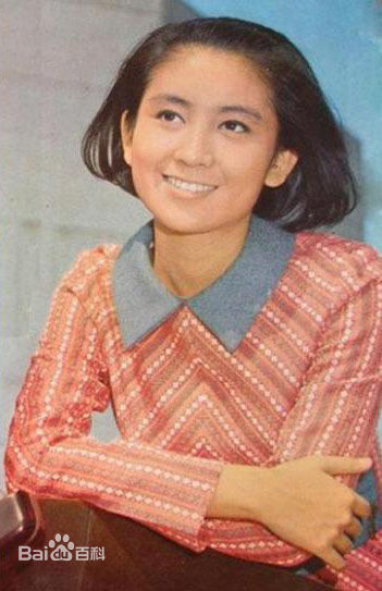 鲍起静(Nina Paw，Paw Hee-Ching)童年、少年、青年时代的壁纸壁纸