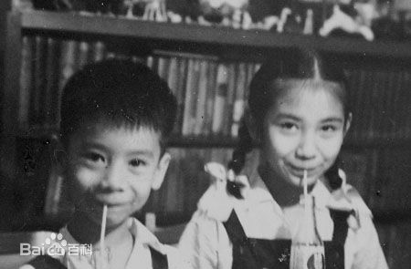 鲍起静(Nina Paw，Paw Hee-Ching)童年、少年、青年时代的壁纸壁纸