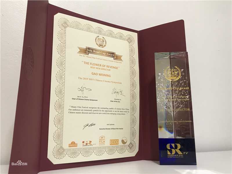 《高伟宁》封面图片