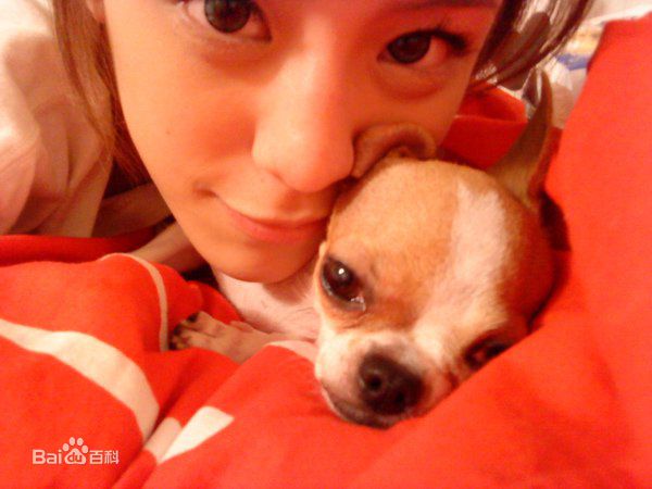 江语晨(Jessie Chiang)生活照素颜照相册