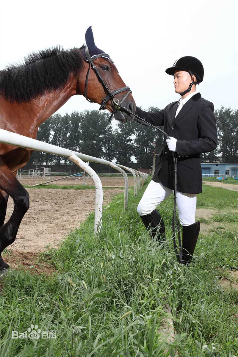 杨志刚最新帅气壁纸