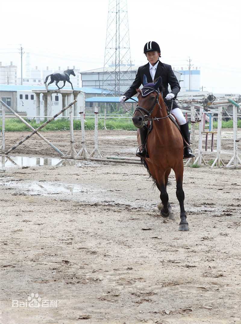 杨志刚最新帅气壁纸