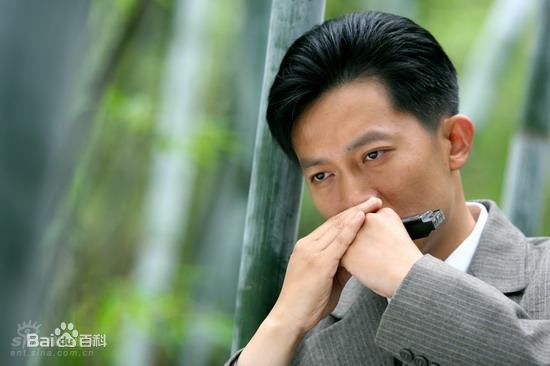 最全杨志刚壁纸