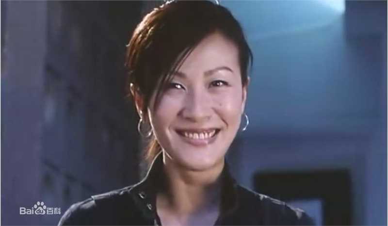 陈慧珊(Flora Chan)参演电影作品（2001-2006）图册