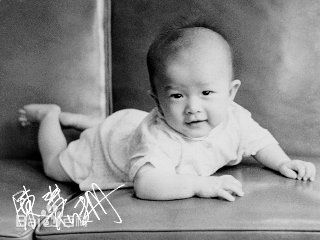 陈慧珊(Flora Chan)童年照壁纸壁纸