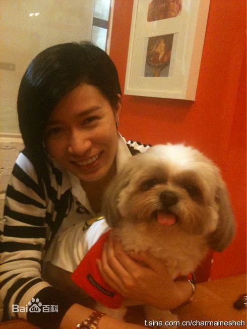 佘诗曼(Charmaine Sheh)生活日常性感图片图集