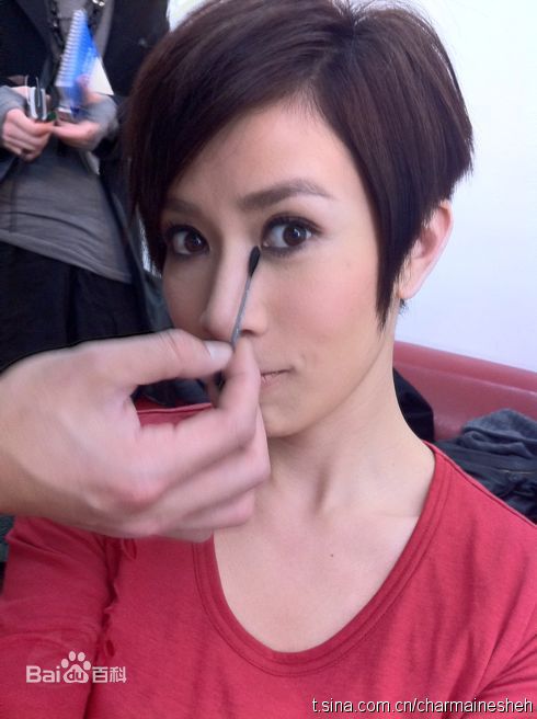 最全佘诗曼(Charmaine Sheh)精彩图册