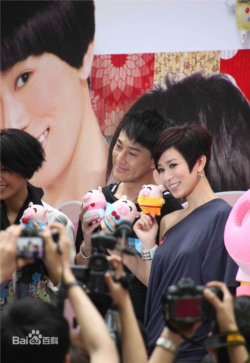 最全佘诗曼(Charmaine Sheh)精彩图册