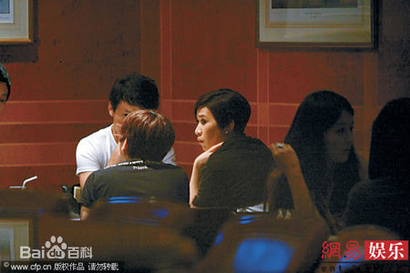 最新佘诗曼(Charmaine Sheh)精彩图册