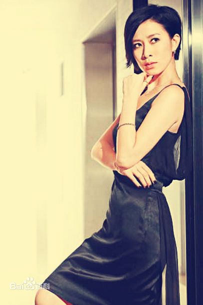 精选佘诗曼(Charmaine Sheh)精彩图册