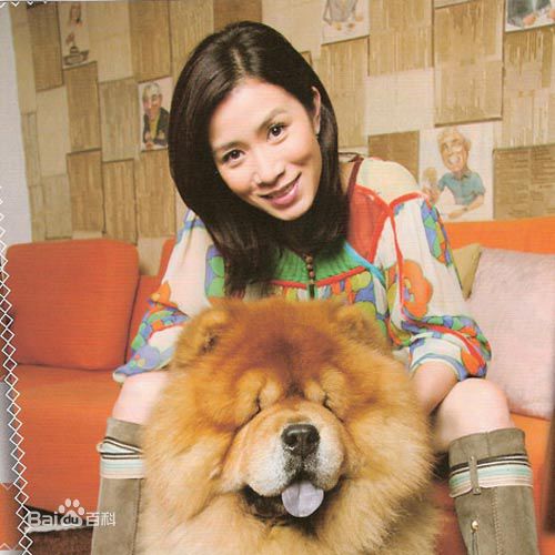 精选佘诗曼(Charmaine Sheh)精彩图册