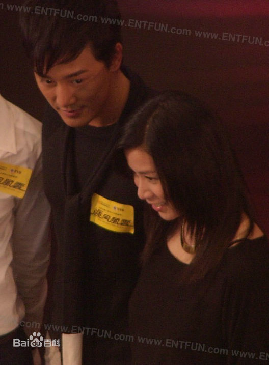 高清佘诗曼(Charmaine Sheh)精彩图册