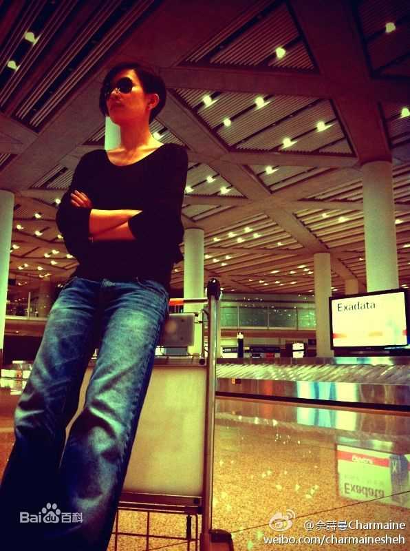 高清佘诗曼(Charmaine Sheh)精彩图册