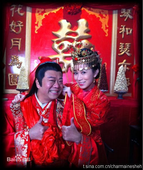 高清佘诗曼(Charmaine Sheh)精彩图册