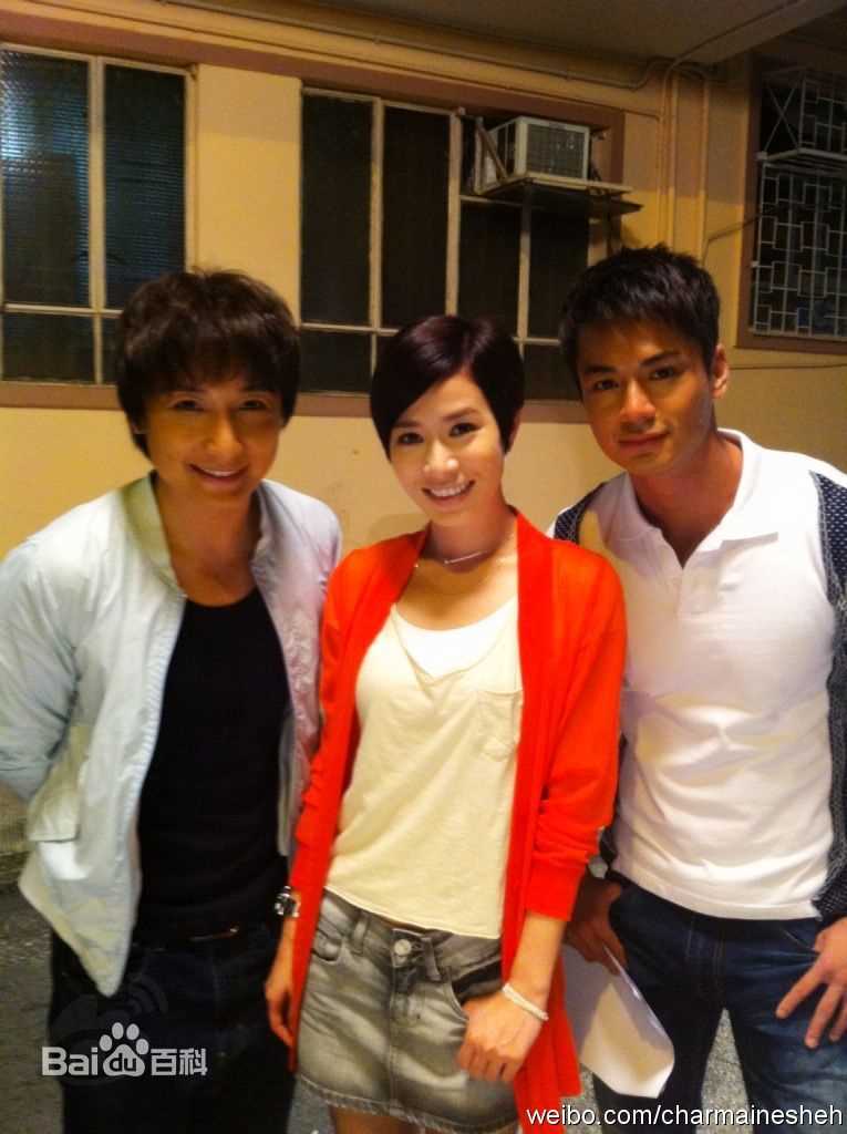 高清佘诗曼(Charmaine Sheh)精彩图册