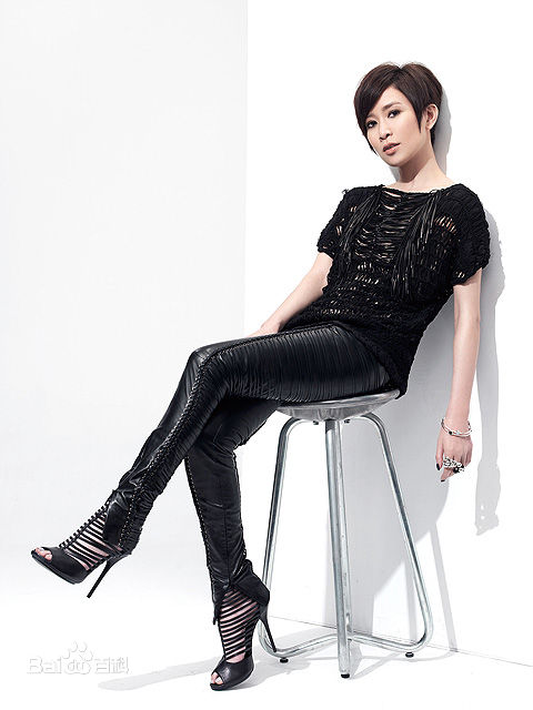 高清佘诗曼(Charmaine Sheh)精彩图册
