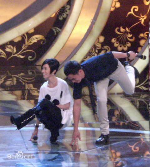 最优质佘诗曼(Charmaine Sheh)精彩图册