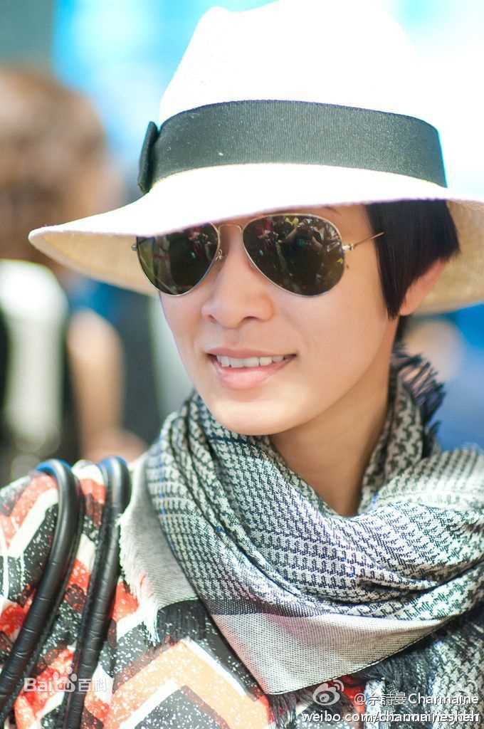 最优质佘诗曼(Charmaine Sheh)精彩图册