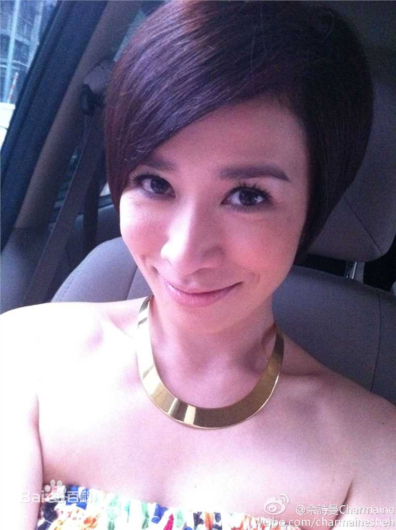 最优质佘诗曼(Charmaine Sheh)精彩图册