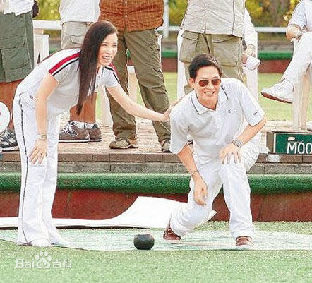 最优质佘诗曼(Charmaine Sheh)精彩图册