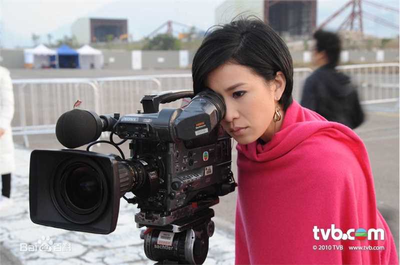 最优质佘诗曼(Charmaine Sheh)精彩图册