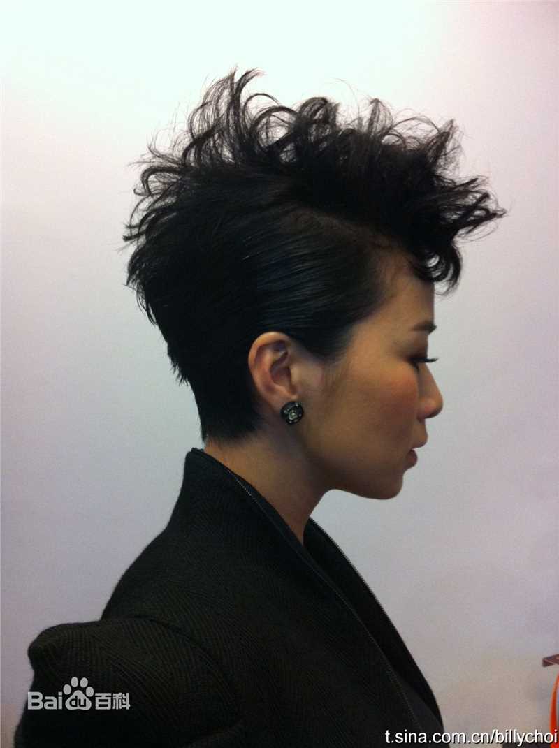 最优质佘诗曼(Charmaine Sheh)精彩图册