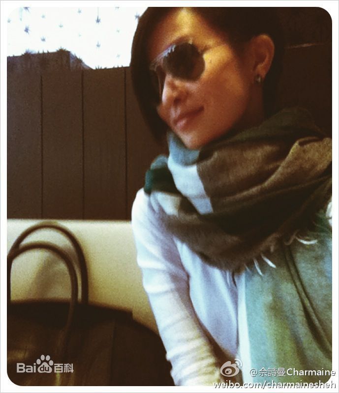 最优质佘诗曼(Charmaine Sheh)精彩图册