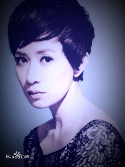 最优质佘诗曼(Charmaine Sheh)精彩图册