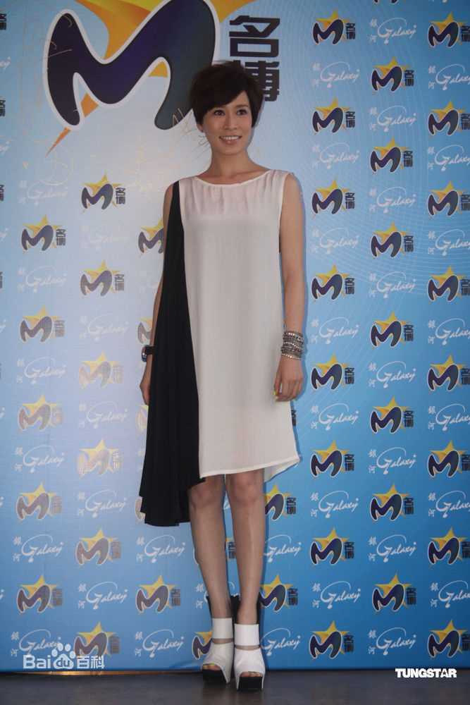 最新佘诗曼(Charmaine Sheh)精彩图册