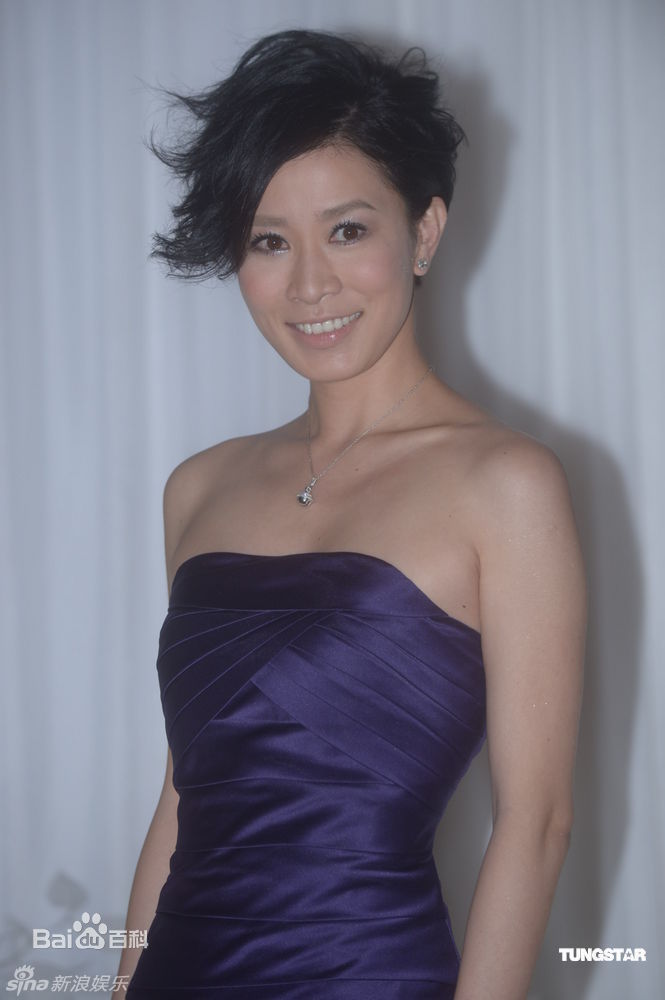 最新佘诗曼(Charmaine Sheh)精彩图册