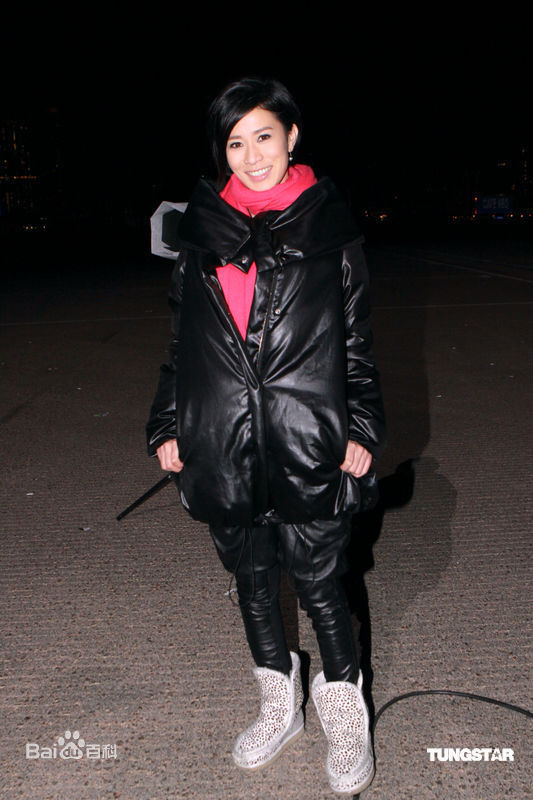 最新佘诗曼(Charmaine Sheh)精彩图册