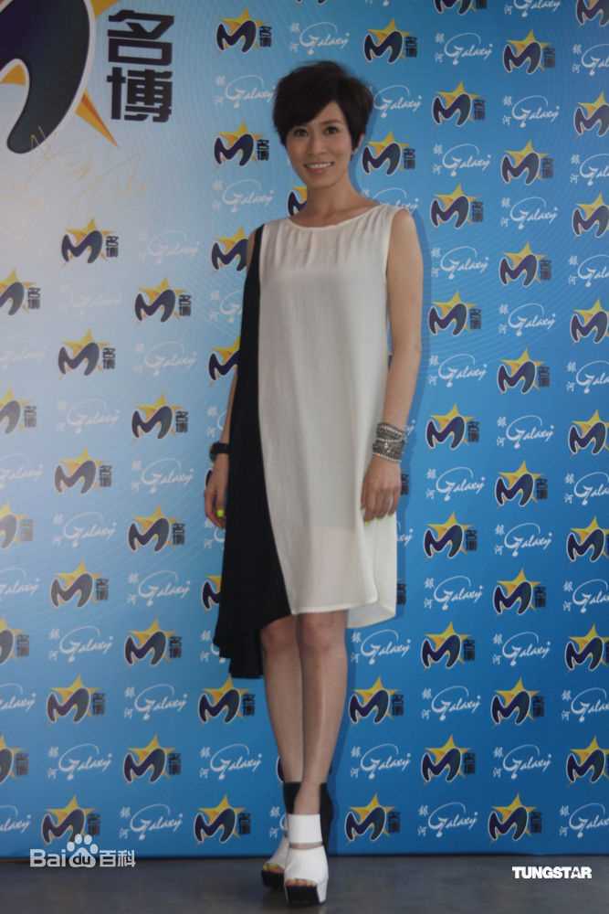 最新佘诗曼(Charmaine Sheh)精彩图册