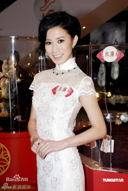 最新佘诗曼(Charmaine Sheh)精彩图册