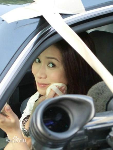 精选佘诗曼(Charmaine Sheh)精彩图册