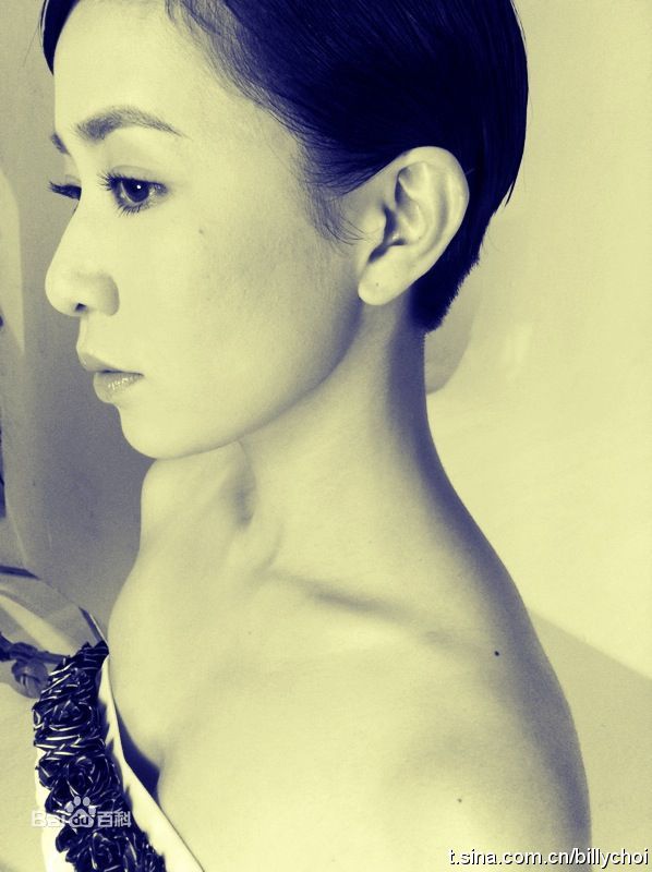 最全佘诗曼(Charmaine Sheh)精彩图册