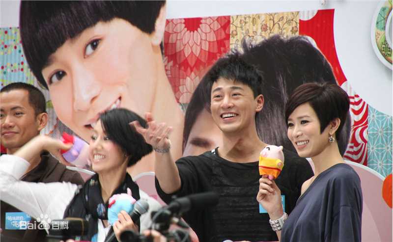 最全佘诗曼(Charmaine Sheh)精彩图册