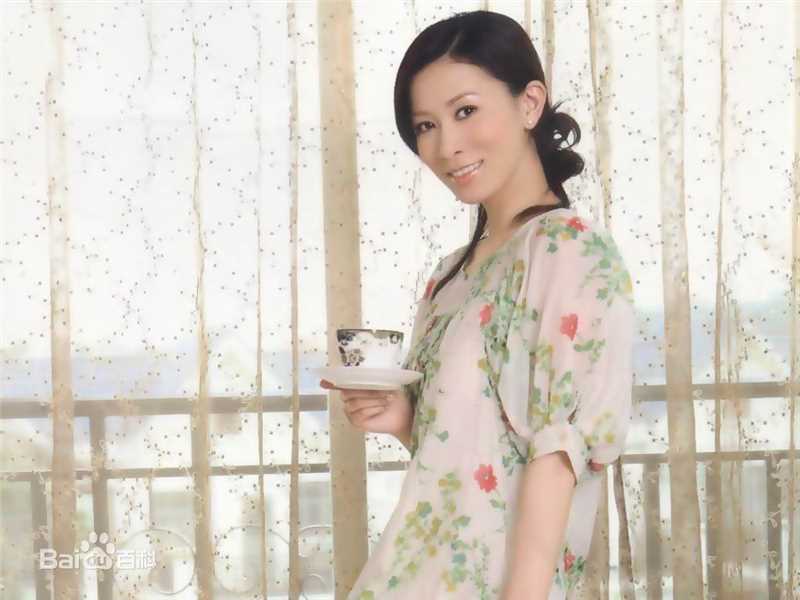 最全佘诗曼(Charmaine Sheh)精彩图册